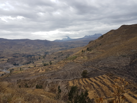 Peru - Colca vallei