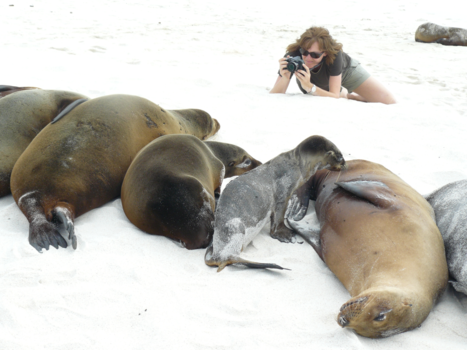 Galápagos eilanden - How close can you go!