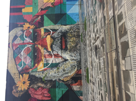 Amazonegebied - muurschildering in rio