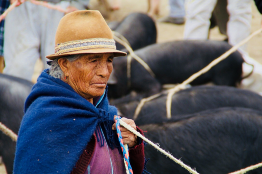 Ecuador - vrouw op dierenmarkt Pujili