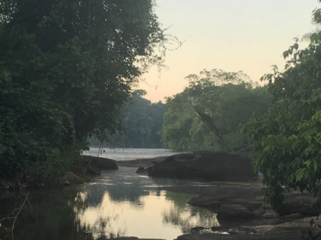 Boven Suriname - Sula