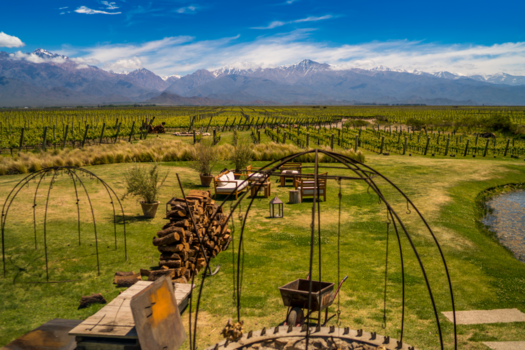 Mendoza - BBQ in the Andes