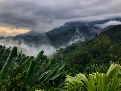 Colombia - The jungle is our playground