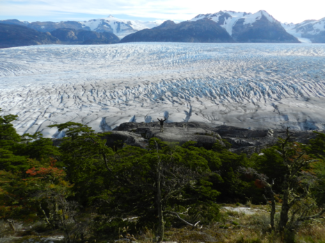 Torres del Paine - Gletsjer Grey