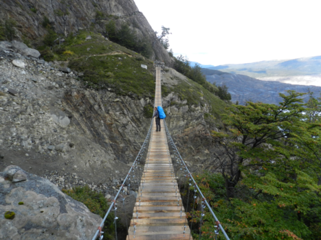 Torres del Paine - Levende brug