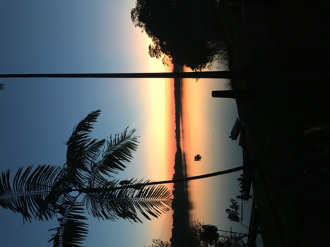 Amazonegebied - Sunset Amazone