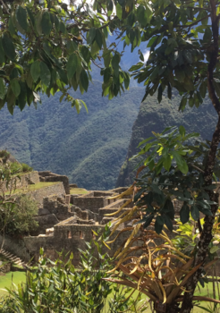 Machu Picchu - Machu Picchu