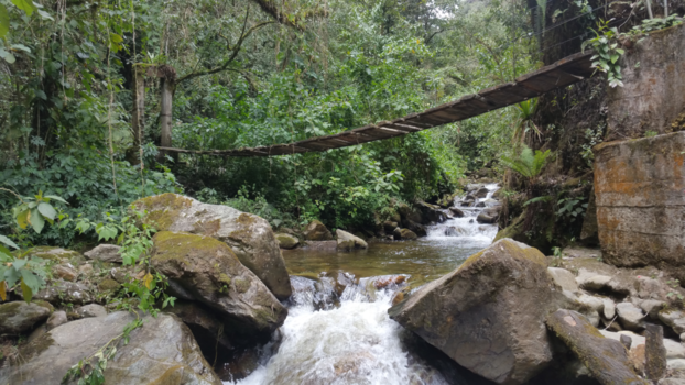 Colombia - Zware maar mooie wandeling door de Valle de Cocora
