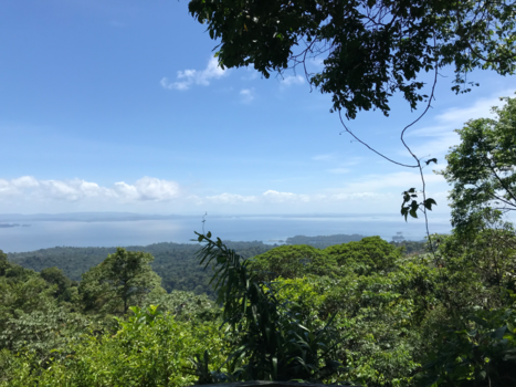 Suriname - Brownsberg