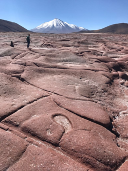 Chili - A visit to mars. We don't need NASA.
