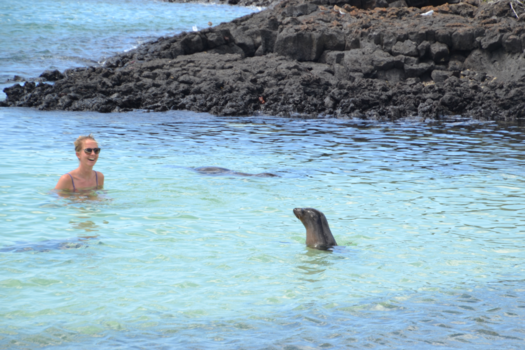 Galápagos eilanden - Zwemles