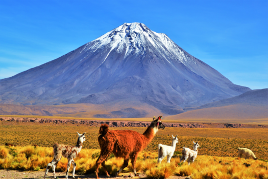 San Pedro de Atacama - Picture perfect