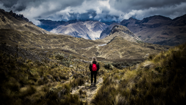 El Cajas National Park - Into the wild