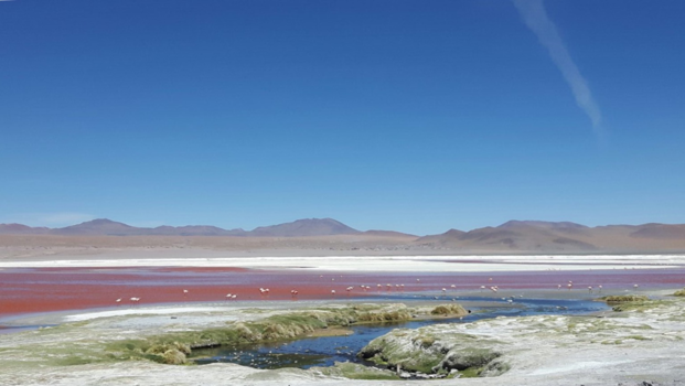 Laguna Colorada - Colorful world