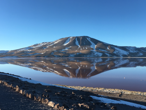 Laguna Colorada - Flamingo's in het gekleurde meer