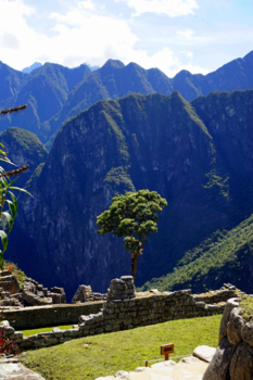 Machu Picchu - Fifty shades of green