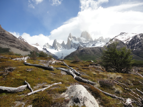 El Chaltén - Verbrand hout, mos en toppen