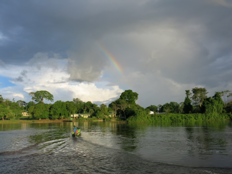 Suriname - Juist de zon en de regen laten alle mooie kleuren van het leven zien