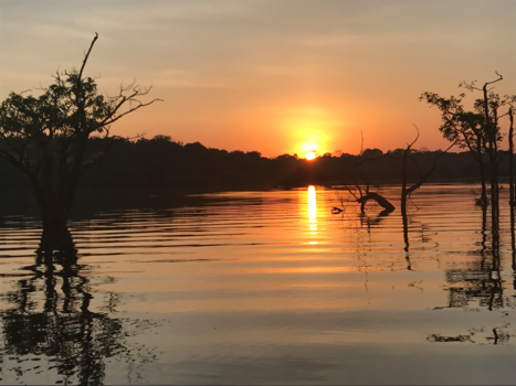 Brasilia - Sunrise amazone