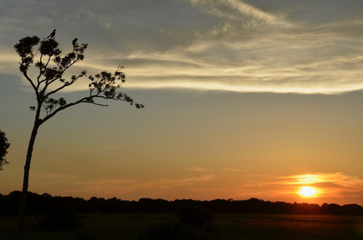 Pantanal - Zonsondergang in de Pantanal