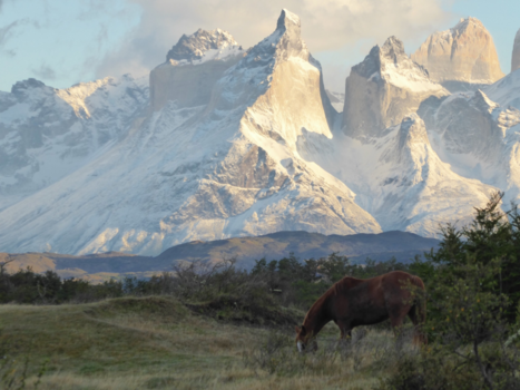 Torres del Paine - Dawn at NP Torres del Plaine