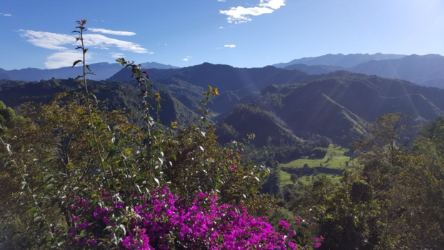 Valle de Cocora - Het Andes gebergte