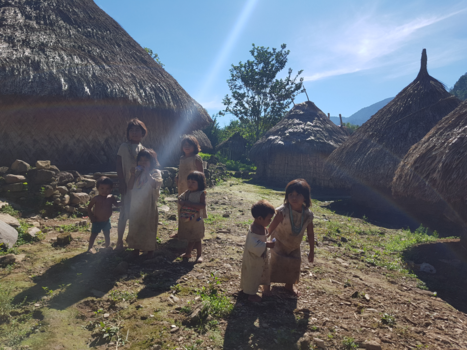 Colombia - Lost City Trek