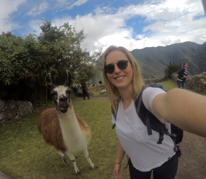 Machu Picchu - Llamaselfie