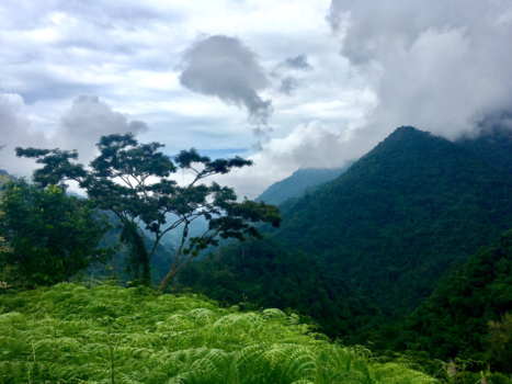 Colombia - Ciudad Perdida Trek