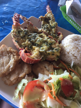 Colombia - Lobster