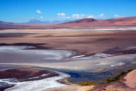 Chili - Salar de Tara
