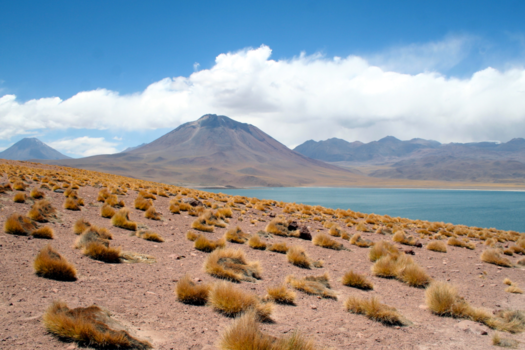 Chili - Laguna Miscanti