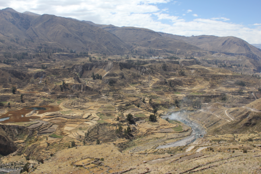 Colca Canyon - Onderweg naar de Colca Canyon (Peru), 2017