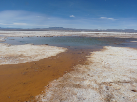 Bolivia - juni woestijn