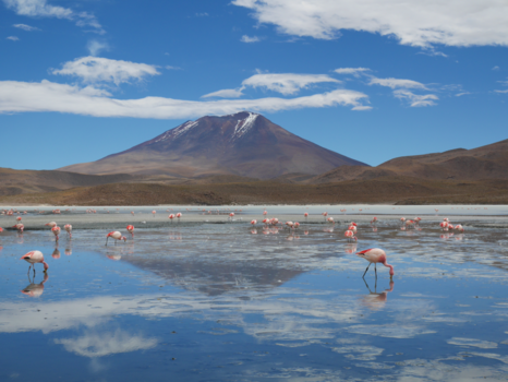 Bolivia - Bob Ross - Mirror Lake