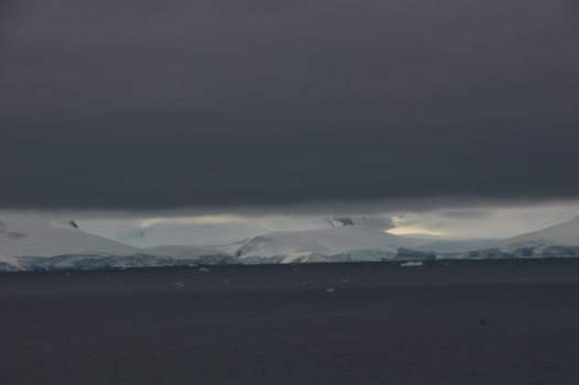 Antarctica - Nederlandse grijs