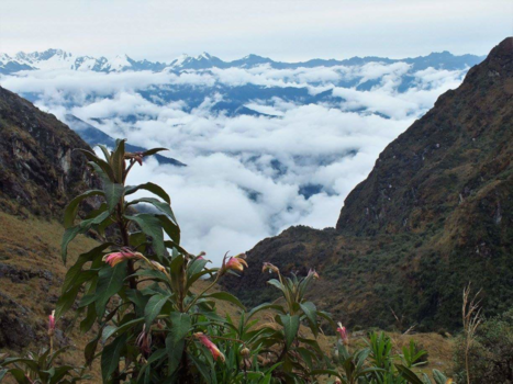 Peru - Incatrail