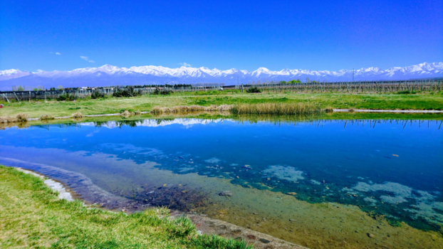Mendoza - De wijnvelden van de Uco Valley in de buurt van de Andes.