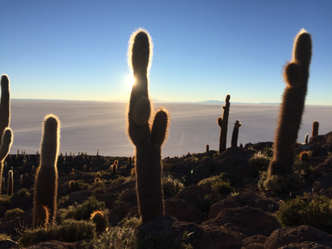 Bolivia - Saltflat sunrise