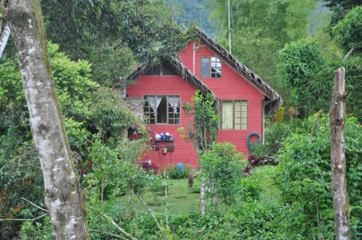 Ecuador - Mindo, bosque nublado