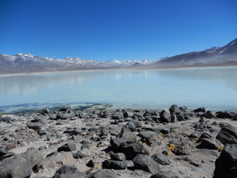 Bolivia - Laguna Blanca