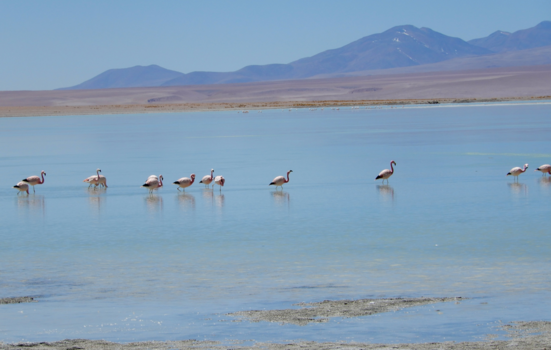 Bolivia - Thermas de Polques