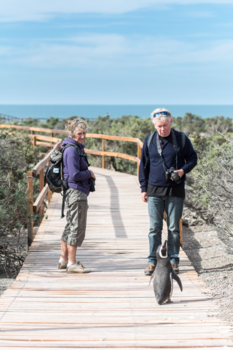 Argentinië - In gesprek met een pinguïn