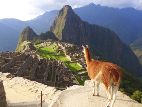 Paaseiland - De beloning!