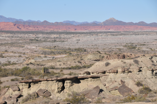 Ischigualasto Provincial Park