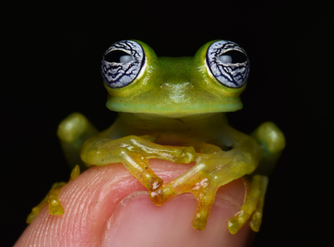 Ecuador - Beauty is in the eye(s) of the beholder