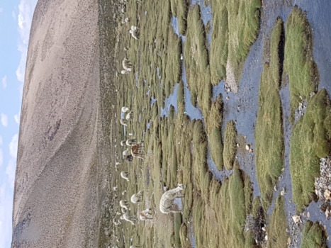 Peru - Hoog in de Andes