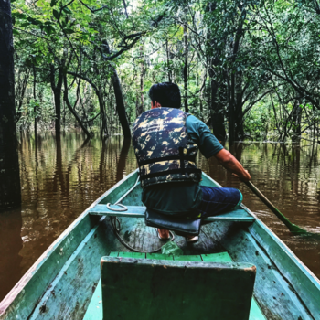 Mamirauá Reserve - Floating forest paddle