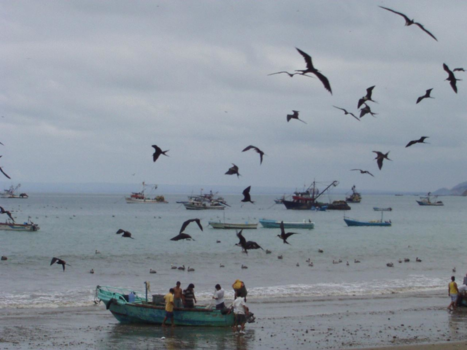 Ecuador - strandwerk