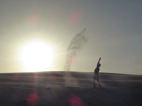 Pantanal - Lençois Barreirinha Brasil 2017